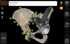 squelette anatomie 3d iPhone Captures Décran 3