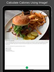 ai calories counter - by photo ipad images 3