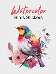 the watercolor birds ipad images 2
