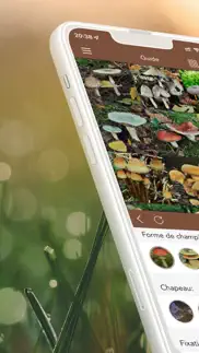 champignons pro iPhone Captures Décran 1
