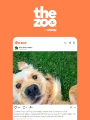 zoo by chewy - pet community ipad images 1