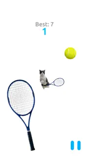 cat tennis battle iphone images 3