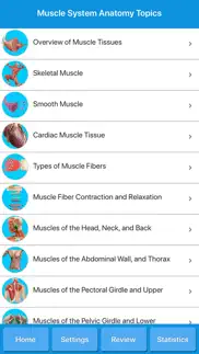muscle system anatomy iphone resimleri 2