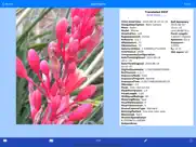 exif wizard-pro ipad images 1