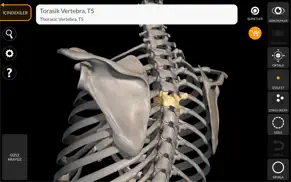skeleton 3d anatomy iphone resimleri 2