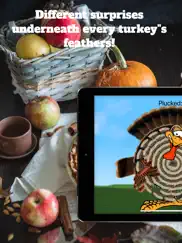 turkey plucker ipad images 3