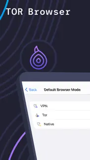 tor browser and vpn iphone images 3