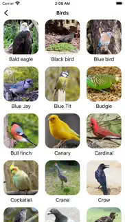 animal sounds & bird noises` айфон картинки 4