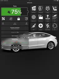 Watch app for Tesla ipad bilder 0