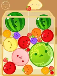 watermelon fruits match puzzle ipad capturas de pantalla 1