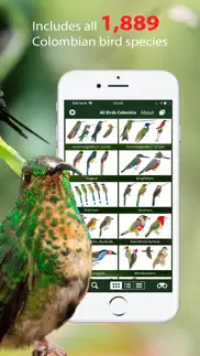 all birds colombia field guide iphone images 2