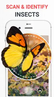 insect photo identifier ai iphone resimleri 1