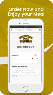 torino pizzeria ludvika iphone images 4