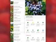 wild berries and herbs 2 pro ipad capturas de pantalla 3