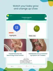 pregnancy tracker - babycenter ipad images 2