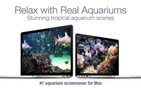 aquarium live hd screensaver iphone resimleri 3