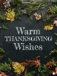 warm thanksgiving wishes ipad images 1