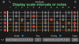 anyscale - tunings & scales iphone images 1