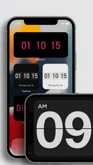 flip clock - widget & pomodoro айфон картинки 1
