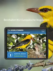 vogelstimmen europas 802 arten ipad bildschirmfoto 1