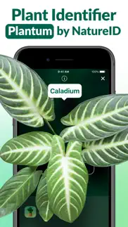 ai plant identifier - natureid iphone images 1