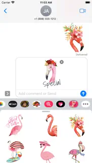 flamingo tropical stickers iphone images 2