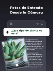 genie - chatbot ia en español ipad capturas de pantalla 3