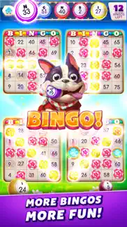 myvegas bingo - bingo games iphone capturas de pantalla 1