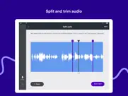 spotify for podcasters ipad images 3