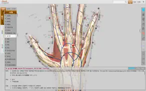 acupuncture point of hand iphone resimleri 3