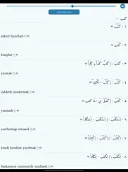 المعاني عربي تركي + айпад изображения 3