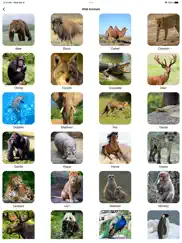 animal sounds pro farm jungle voices for kids ipad images 3