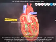 heart - an incredible pump ipad images 4