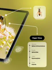 insect identifier iPad Captures Décran 2