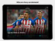 univision now ipad images 4