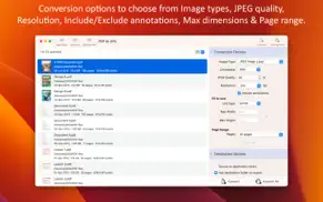 pdf to jpg - a batch converter iPhone Captures Décran 2