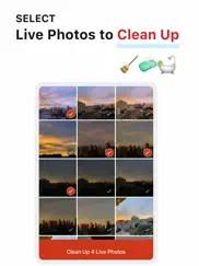lean - clean up live photos ipad images 2