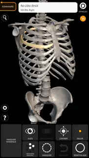 squelette anatomie 3d iPhone Captures Décran 2