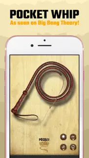 pocket whip: original whip app iphone images 2
