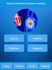 circulatory system anatomy ipad images 1