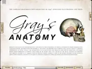 grays anatomy student for ipad ipad resimleri 1