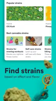 weedmaps: cannabis, weed & cbd iphone images 4