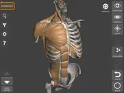 3d anatomy for the artist ipad resimleri 3