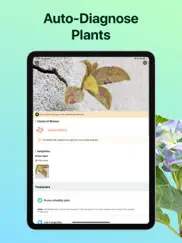 picturethis - plant identifier ipad images 4