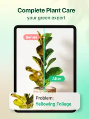 plant parent: plant care guide ipad images 2