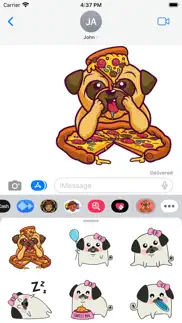 adorable baby pug stickers iphone images 1