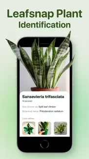plant identifier ai - plant id iphone images 4