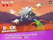 duck hunting - bird simulator ipad images 4