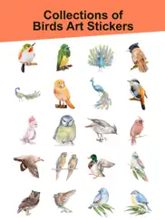 watercolor birds art stickers ipad images 3