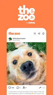zoo by chewy - pet community iphone images 1
